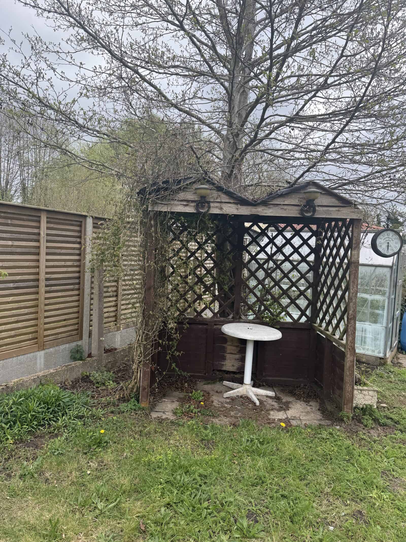 pergola-before
